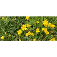 2025-05-28T09_15_08+02_00