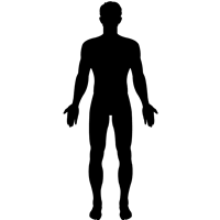 male-body-silhouette-000000-md